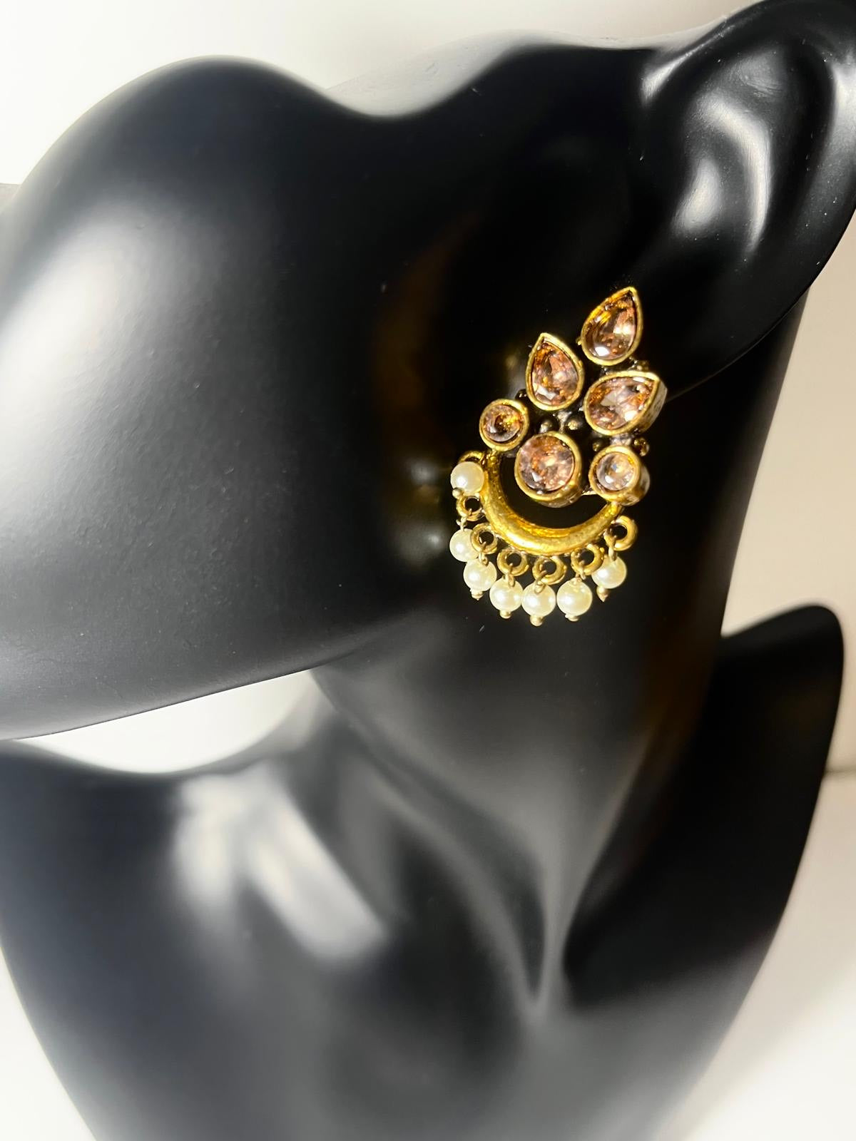 Teardrop Leaf Earings