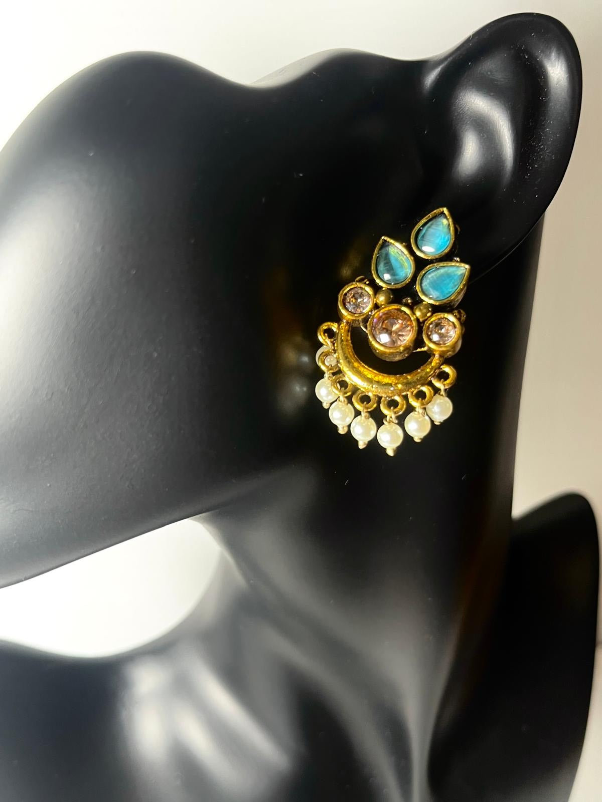 Teardrop Leaf Earings