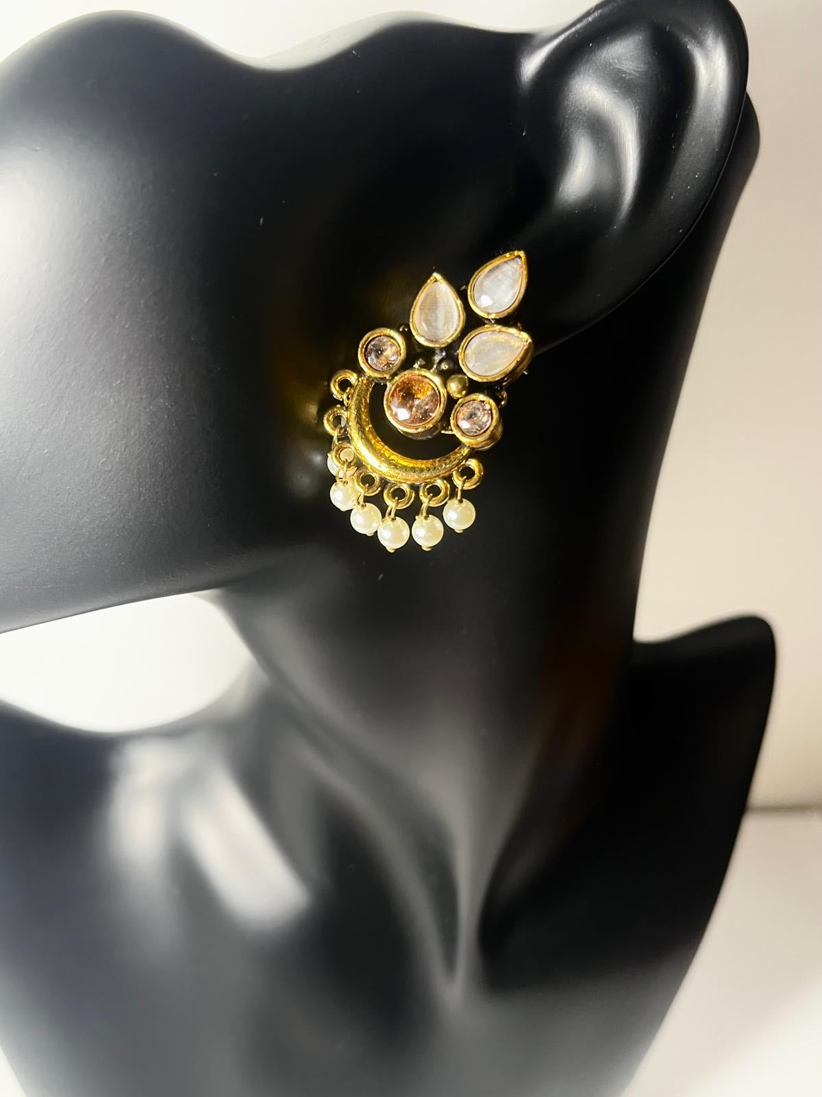 Teardrop Leaf Earings